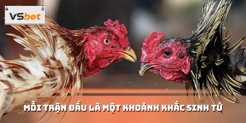 Mỗi trận đấu là một khoảnh khắc sinh tử