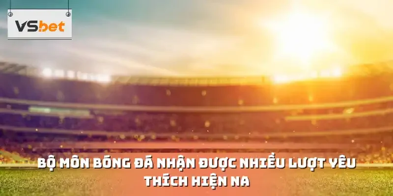 Bộ môn bóng đá nhận được nhiều lượt yêu thích hiện na